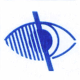 Vision Impaired